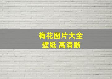 梅花图片大全 壁纸 高清晰